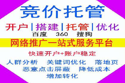 案例研究：SEM关键词优化效果对比